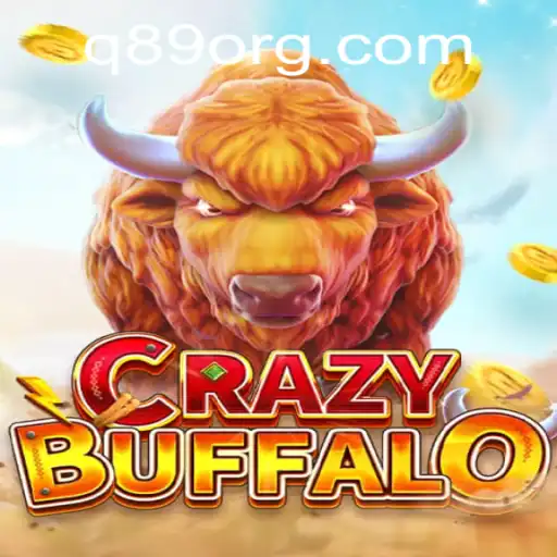 Q89.COM Esportes